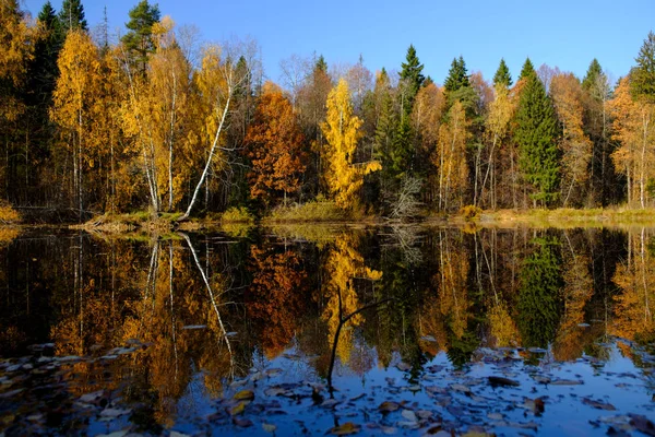 On the shore of a lake in autumn — Stock Photo, Image