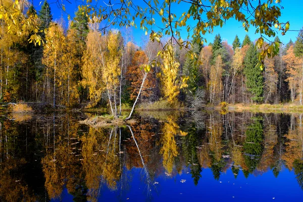 On the shore of a lake in autumn — Stock Photo, Image