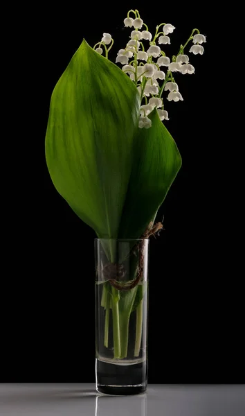 Lily of the valley on black background — Stock Photo, Image