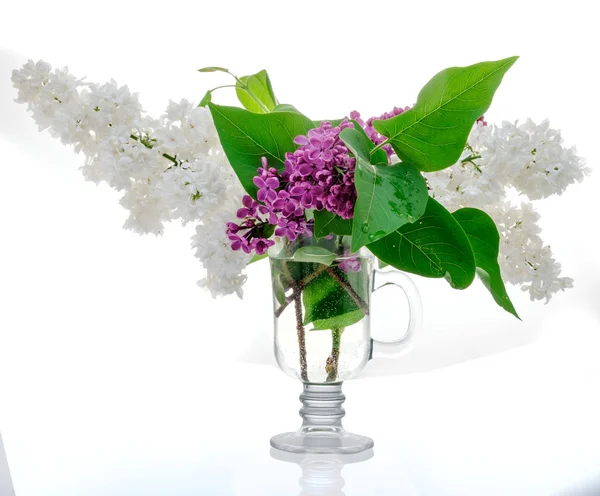 Bukiet z lilacs w szklany wazon na białym tle. Oddział z liliowym — Zdjęcie stockowe