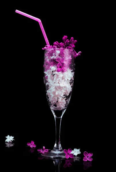 Lilac kwiaty w szkle izolowane na czarnym tle. Koktajl — Zdjęcie stockowe