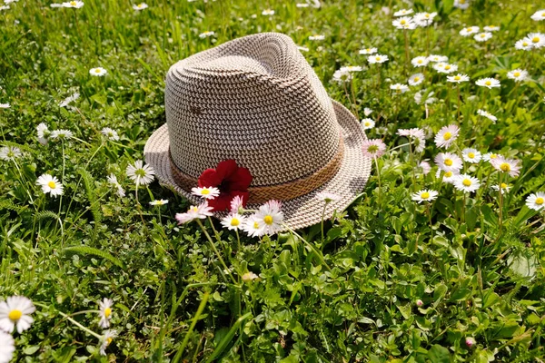 Un fiore viola e un fiore di erba su un cappello in luce del sole — Foto Stock