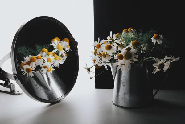 Eine Gänseblümchenblümchen-Nahaufnahme auf einer Spiegelfläche auf schwarz-weißem Hintergrund — Stockfoto