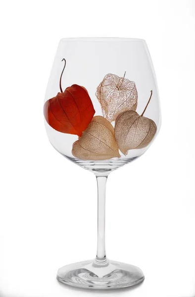 Physalis in einem Weinglasskelett auf weißem Hintergrund — Stockfoto