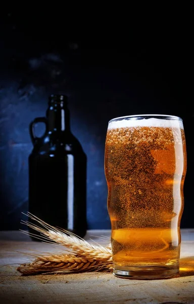 Close up of beer in glass with barley on on dark background . — Stock Photo, Image