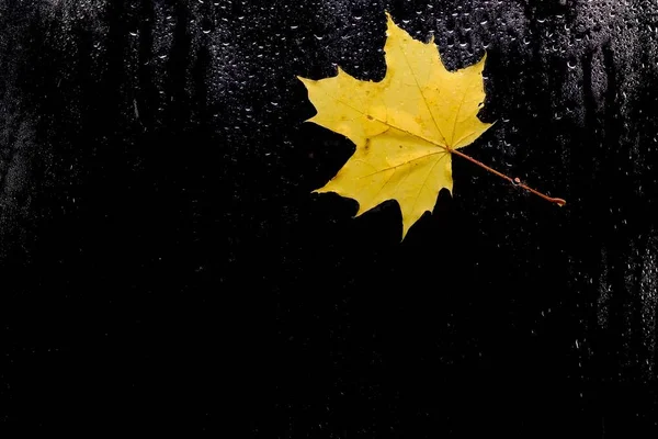 秋天的叶子做雨玻璃。秋天的概念. — 图库照片