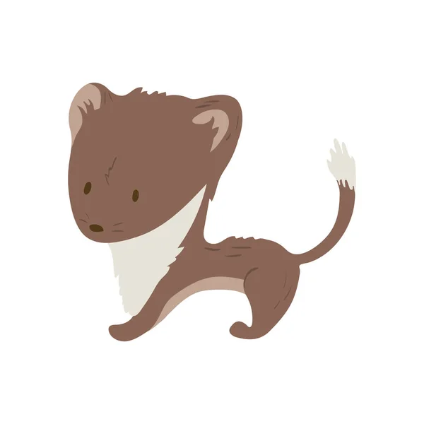 Vecteur Animal Forestier Avec Petit Stoat Dessin Animé Isolé Bon — Image vectorielle