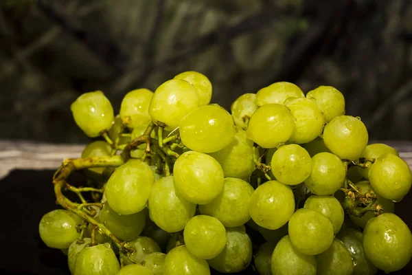 Ramo Uvas Blancas Deliciosas Frescas — Foto de Stock