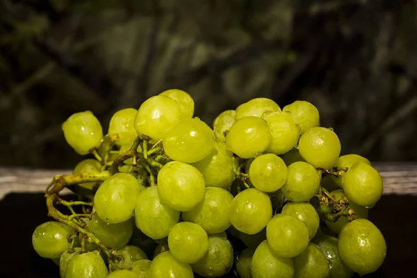 Ramo Uvas Blancas Deliciosas Frescas — Foto de Stock