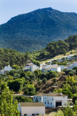 Tipik köy Andalucia İspanya detay