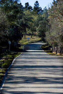 Kırsal kesimde yalnız yol