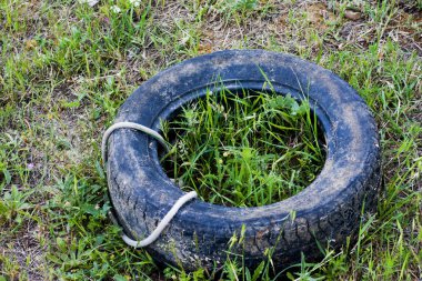 Alanında eski ve terk edilmiş araba tekerleği