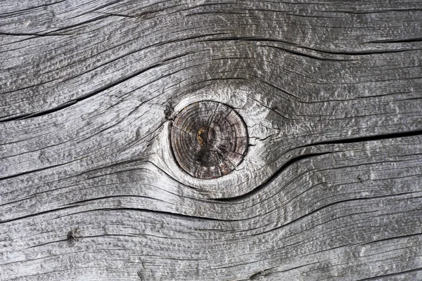 Szczegół suchego pnia drzew z sęków i pęknięć — Zdjęcie stockowe