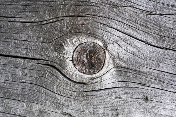 Düğüm ve çatlaklar ile kuru ağaç gövdesi detay