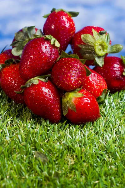 绿草上的木板上的红草莓，有蓝天 — 图库照片