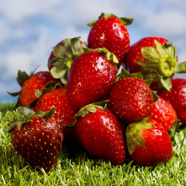绿草上的红草莓，有蓝天背景 — 图库照片
