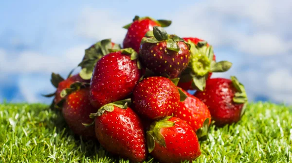 绿草上的红草莓，有蓝天背景 — 图库照片