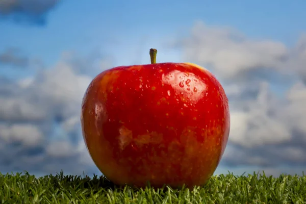 Pomme sur herbe verte et avec fond bleu ciel — Photo