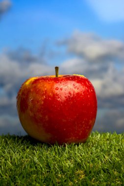 Elma yeşil çim ve mavi gökyüzü arka plan ile