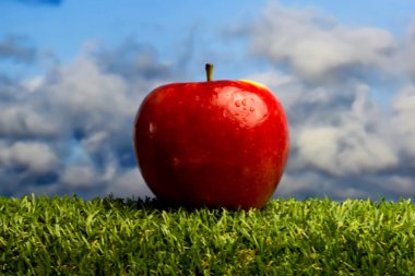Elma yeşil çim ve mavi gökyüzü arka plan ile