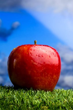 Elma yeşil çim ve mavi gökyüzü arka plan ile