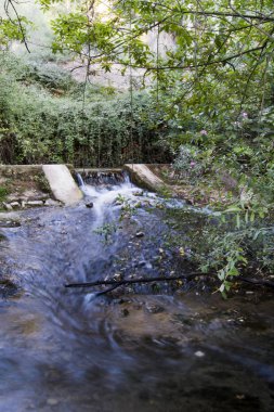 Yaz aylarında bir nehir Manzara