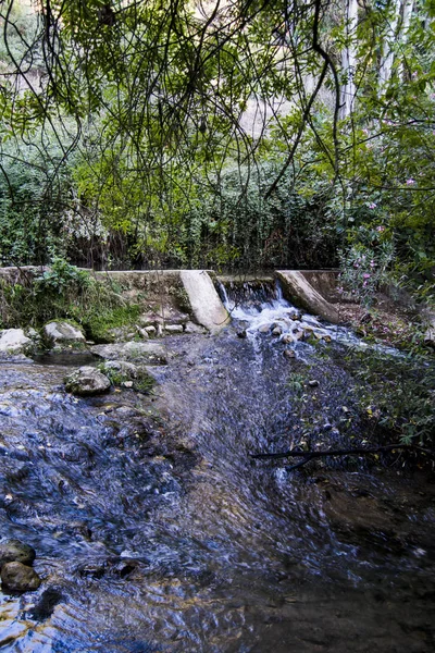 Paisagem de um rio em verão — Fotografia de Stock