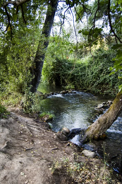 夏の川の風景 — ストック写真