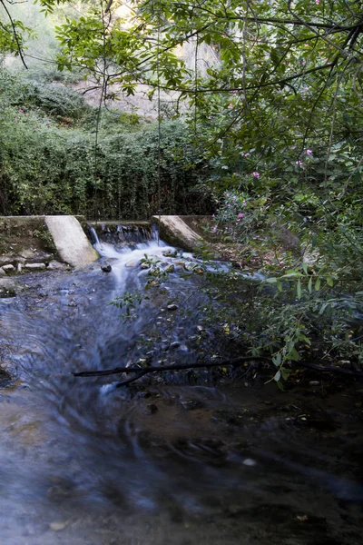 Paisaje de un río en verano —  Fotos de Stock