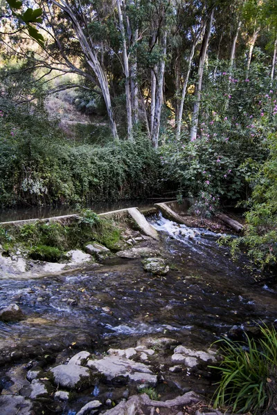 Paisaje de un río en verano —  Fotos de Stock