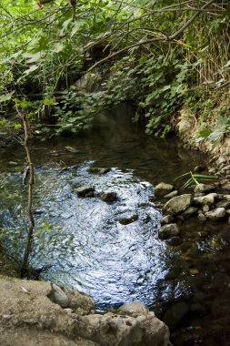 Yaz aylarında bir nehir Manzara