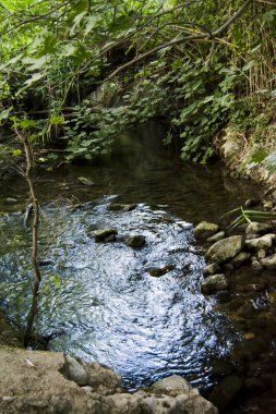 Yaz aylarında bir nehir Manzara