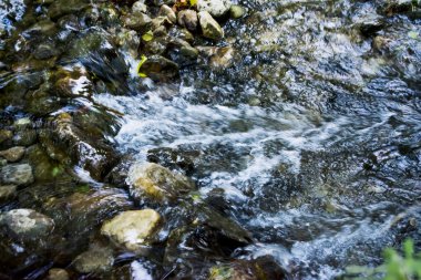 Yaz aylarında bir nehir Manzara