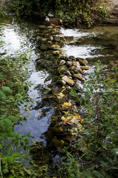 Paisaje de un río en verano —  Fotos de Stock