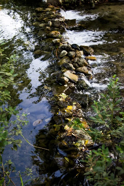 Krajina v létě v řece — Stock fotografie