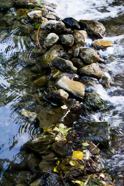 Paesaggio di un fiume in estate — Foto Stock