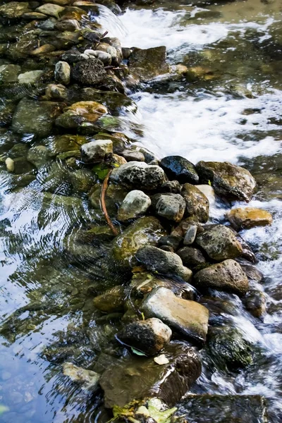 Yaz aylarında bir nehir Manzara — Stok fotoğraf