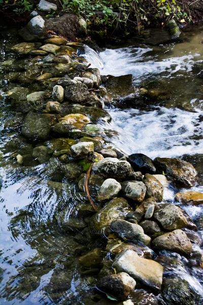 Yaz aylarında bir nehir Manzara — Stok fotoğraf