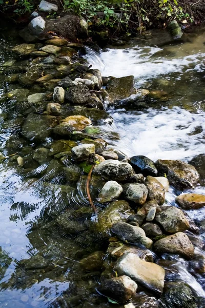 Krajina v létě v řece — Stock fotografie