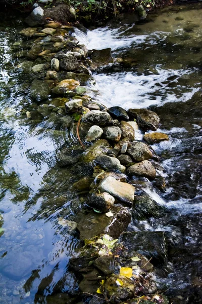 Yaz aylarında bir nehir Manzara — Stok fotoğraf