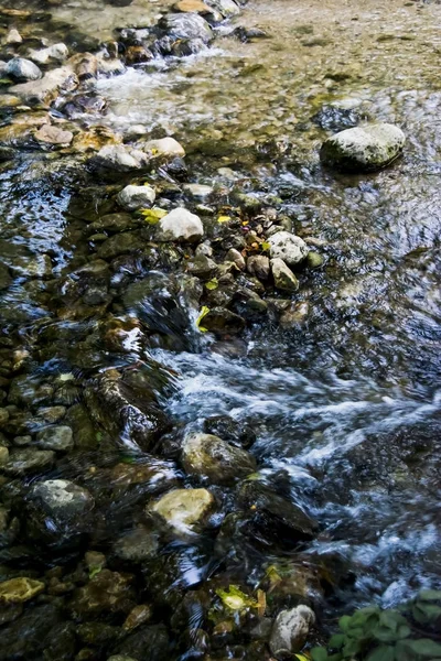 Paisaje de un río en verano —  Fotos de Stock