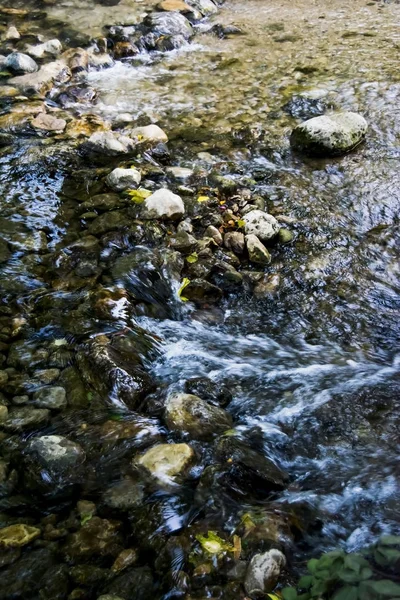 Paesaggio di un fiume in estate — Foto Stock