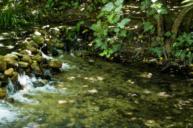 Yaz aylarında bir nehir Manzara