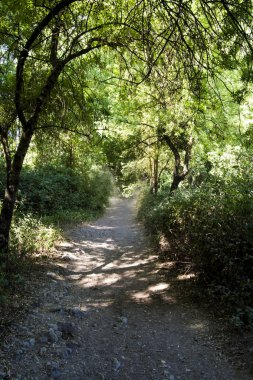 Dağlardaki Toprak Yol