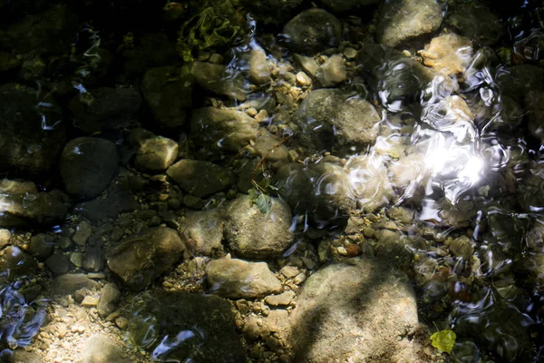 Krajina v létě v řece — Stock fotografie