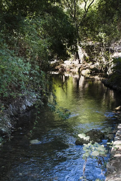 A folyó nyári tájképe — Stock Fotó