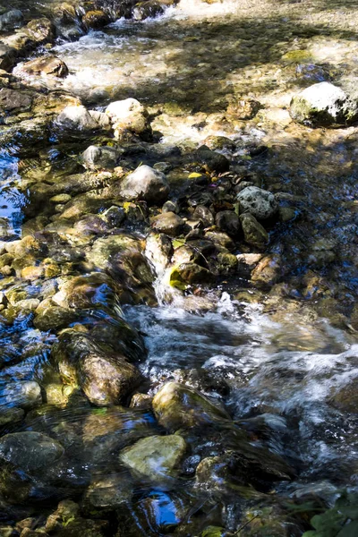 Paisaje de un río en verano —  Fotos de Stock