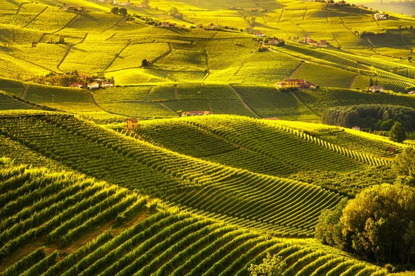Langhe üzüm bağları günbatımı panorama, Barolo, UNESCO tarafından Piedmont, Kuzey İtalya Avrupa yakınındaki.