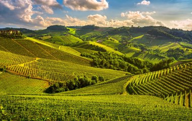 Langhe üzüm bağları günbatımı manzarası, Serralunga d Alba, Unesco Sitesi, Piedmont, Kuzey İtalya Avrupa.