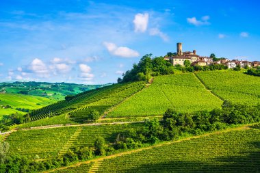 Langhe üzüm bağları günbatımı panorama, Castiglione Falletto, UNESCO tarafından Piedmont, Kuzey İtalya Avrupa.